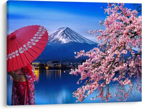 Obraz - Widok na szczyt, Japonia (70x50 cm)