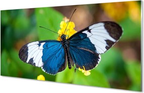 Panel Kuchenny Szklany Egzotyczny Motyl na Płatkach