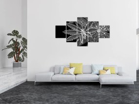 Obraz - Krople (125x70 cm)