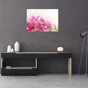 Obraz - Różowe kwiaty (70x50 cm)