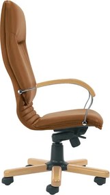 Fotel gabinetowy Nova Wood