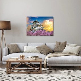 Obraz na szkle - Zamek Osaka (70x50 cm)