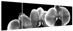 Obraz kwiatu orchidei (170x50 cm)