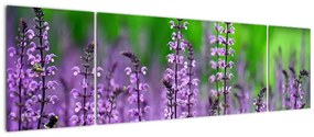 Obraz fioletowych kwiatów polnych (170x50 cm)