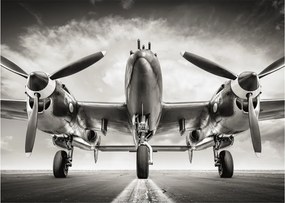 Obraz na szkle - Warbird (70x50 cm)