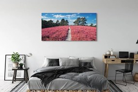 Obraz canvas na ścianę Pole Wrzosów i Las