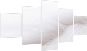 Obraz - Białe pióro (125x70 cm)