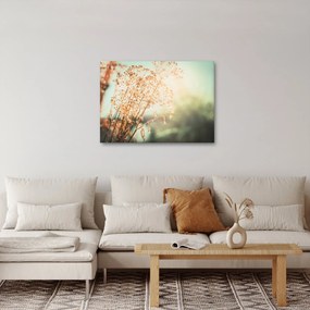 Obraz - Rośliny po deszczu (70x50 cm)