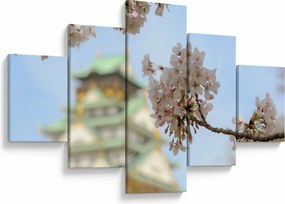 Obraz - Sakura (125x70 cm)
