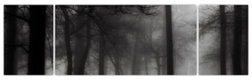 Obraz - Las we mgle (170x50 cm)