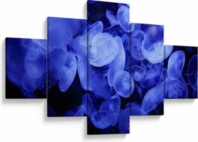 Obraz - Meduzy (125x70 cm)
