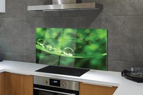 Szklany Panel Rosa w Przybliżeniu