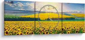 Obraz - Pole słoneczników (z zegarem) (90x30 cm)