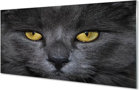 Szkło do Kuchni na Ścianę Tajemniczy Czarny Kot