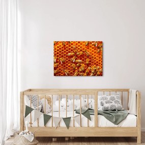 Obraz - Plaster miodu (70x50 cm)