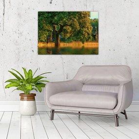 Obraz żyraf w naturze (70x50 cm)