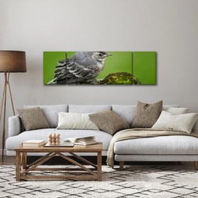 Obraz - Muchołówka (170x50 cm)