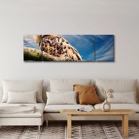 Obraz - Sowa (170x50 cm)