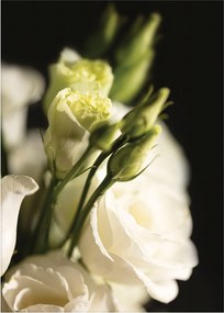 Plakat Dark Flowers I