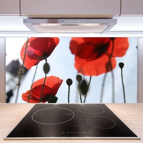 Panel Kuchenny Polne Maki W Rozkwicie