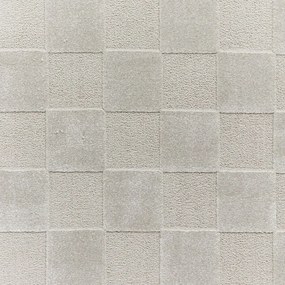 Jasnoszary dywan 200x290 cm Elio Silver – Think Rugs