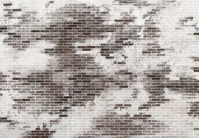 Fototapeta - Ceglany mur II. (196x136 cm)