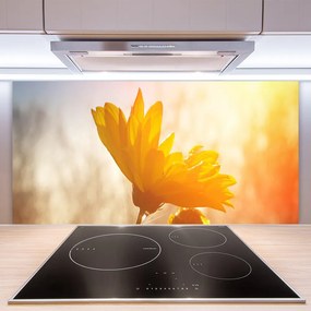 Szkło do Kuchni na Ścianę Złoty Słonecznik W Słońcu