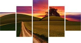 Obraz pola i kolorowego nieba (125x70 cm)