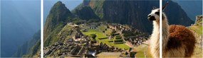 Obraz - Lama i Machu Picchu (170x50 cm)