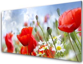 Panel Szklany Maki i Stokrotki na Łące