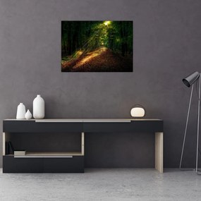 Obraz leśnej ścieżki (70x50 cm)