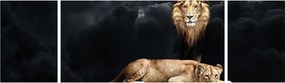 Obraz - Lew i lwica w chmurach (170x50 cm)