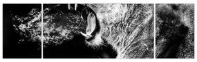 Obraz - Portret lwicy (170x50 cm)