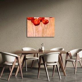 Obraz - Czerwone tulipany (70x50 cm)