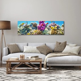Obraz - Morski świat (170x50 cm)