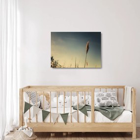 Obraz na szkle z trawą (70x50 cm)