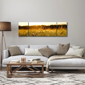 Obraz zroszonej trawy (170x50 cm)