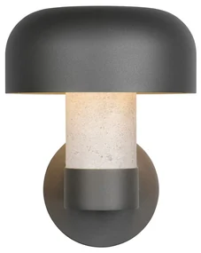 Zewnętrzna lampa ścienna (wysokość 24,5 cm) Fraser – Trio