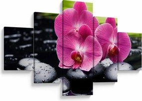 Obraz - Różowe orchidee z liściem palmy (125x70 cm)