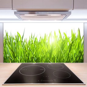 Panel Szklany Soczysta Zielona Trawa