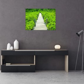 Obraz na szkle - drewniany chodnik (70x50 cm)