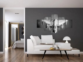 Obraz - Samolot (125x70 cm)