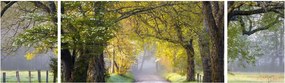 Zdjęcie - Smoky Mountains, Gatlinburg, USA (170x50 cm)