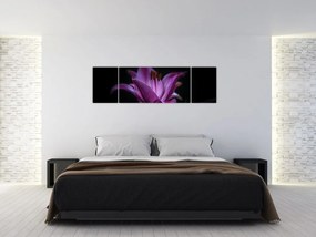 Obraz lilii (170x50 cm)