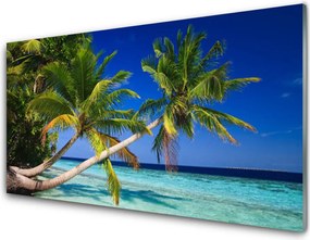 Szkło nad Blatem Tropikalny Brzeg Z Palmą