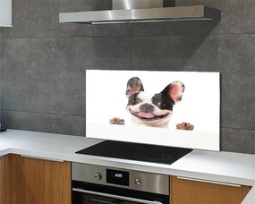 Panel Kuchenny Szklany Spojrzenie Wiernego Przyjaciela