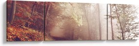 Obraz - Jesienny spacer po lesie (170x50 cm)