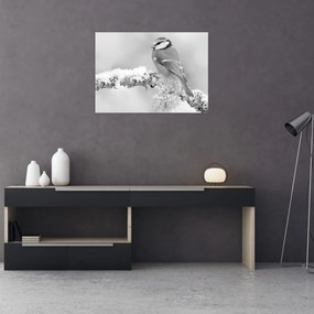 Obraz - Ptak na gałęzi (70x50 cm)