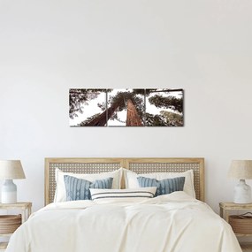 Obraz - Widok przez korony drzew (z zegarem) (90x30 cm)