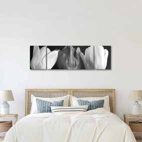 Obraz - Czarno - białe kwiaty tulipanów (170x50 cm)
